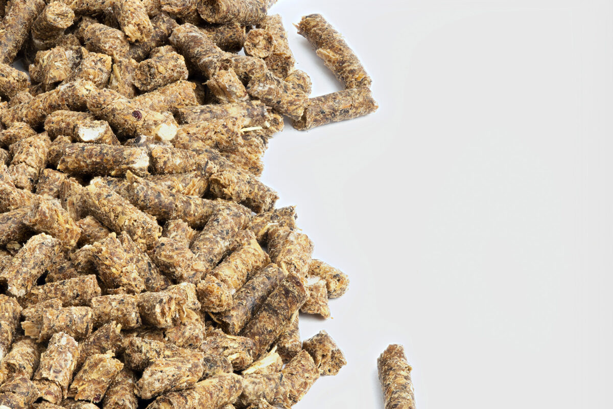 Top 3 challenges impacting the #animalfeed industry in 2023 buff.ly/3hFuZn6