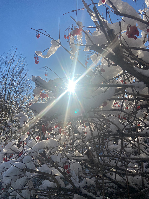 easier said than done - see you in 2023 mailchi.mp/go-shred/easie…