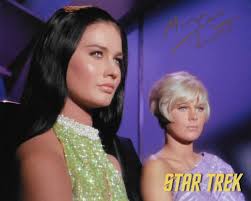 Tom Lisanti tweet media