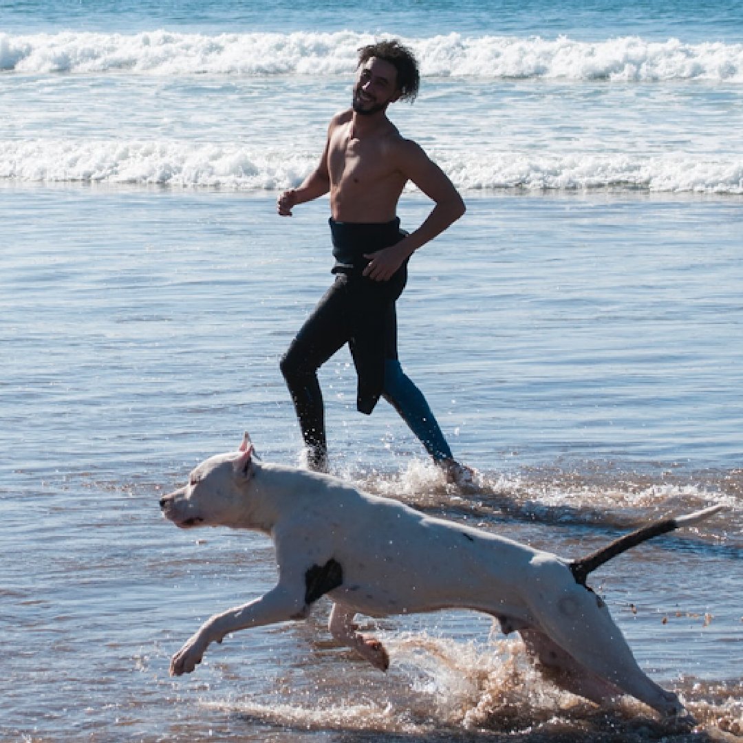 Healthy living is always better with a friend. Who is your health and fitness buddy? We loved working with @hitlivingfoundation and finding our workout buddies1

Visit our Instagram <a href="/thesolutioniv/">The Solution</a> for more details!

 #thesolution #workoutbuddy #12daysofchristmas #giveaways