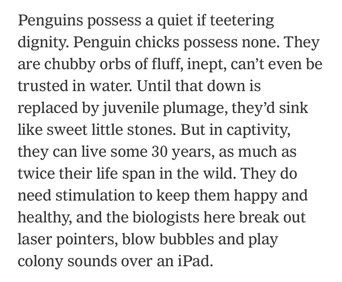 Chris Colin tweet media