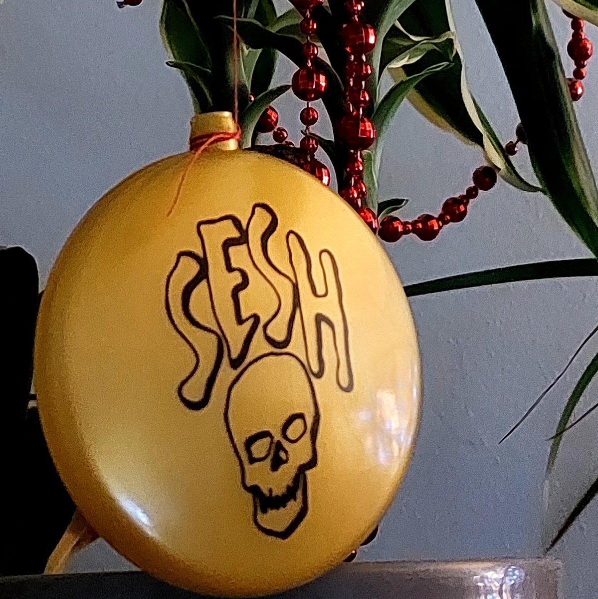 marlenea_a's tweet photo. merry seshmas!!!! https://t.co/kWSF9ohw8X