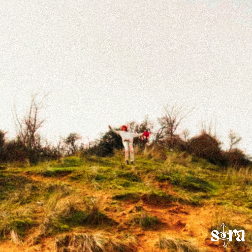 clearlew_'s tweet image. sora and the guest - EP - Out Now
open.spotify.com/album/6bv1JFYf…