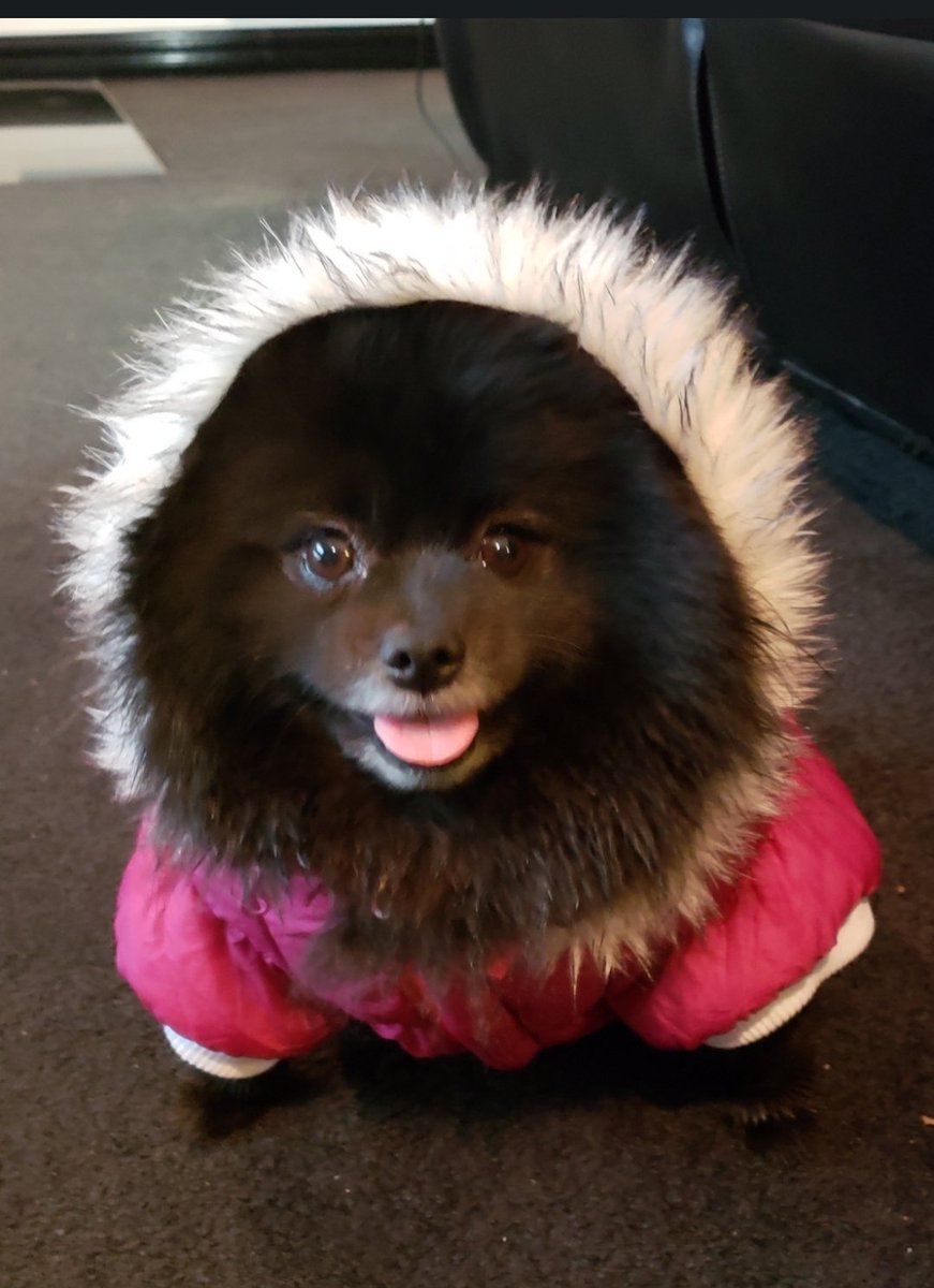 Ready for the snow thanks to grandma!