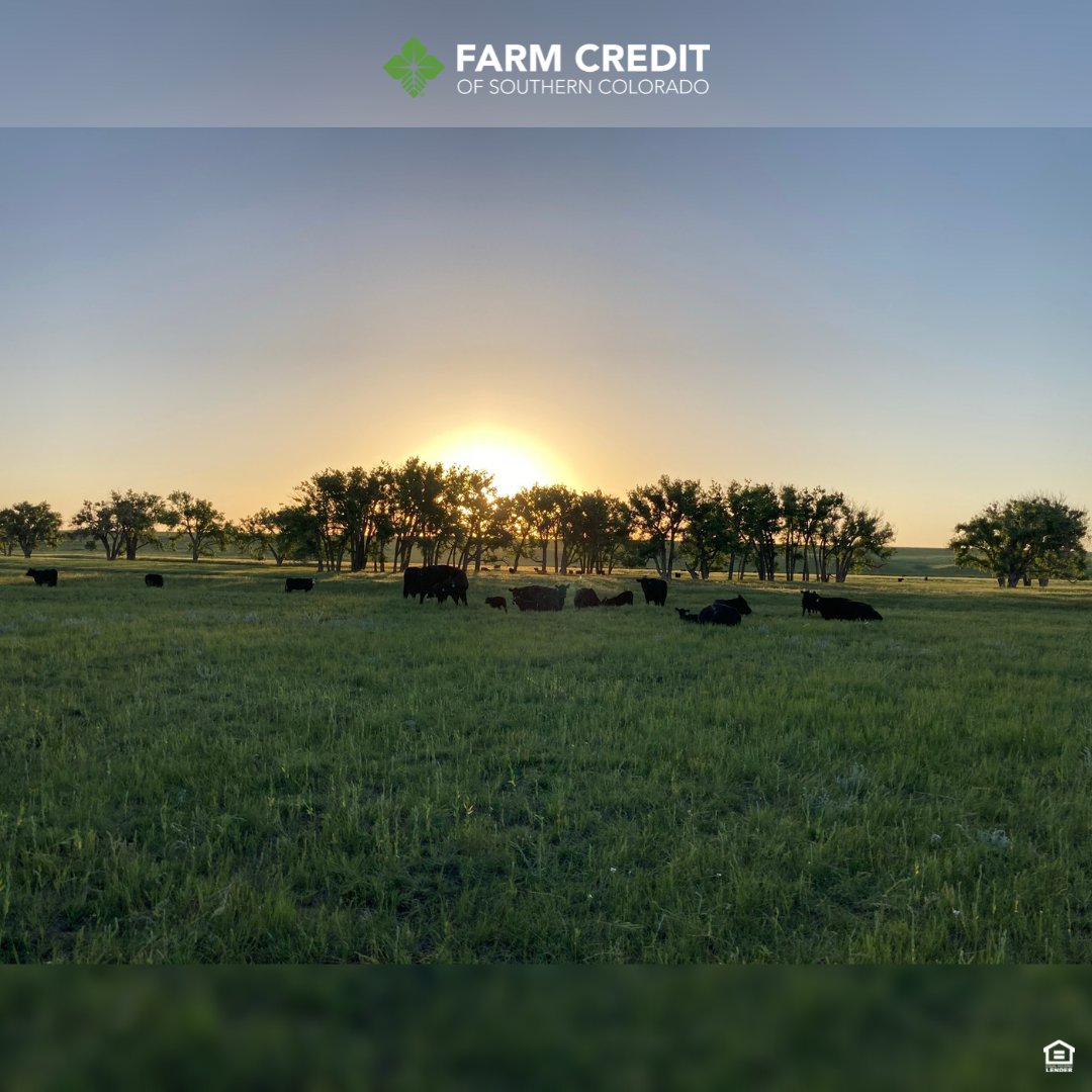 aglending1's tweet photo. Happy Farm Friday! 📷 This photo was submitted to our photo contest by Wade Hollowell in Lincoln County! https://t.co/xhWPsQyfDp