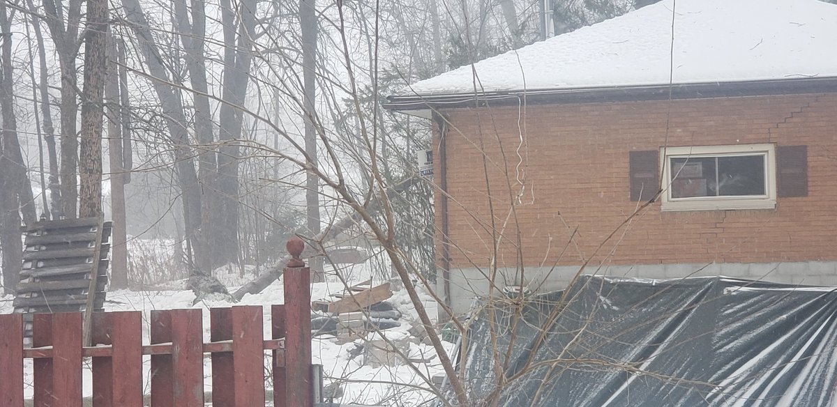 daveworty's tweet photo. @court_123 @weathernetwork Tree down already. https://t.co/yqearsc47Y
