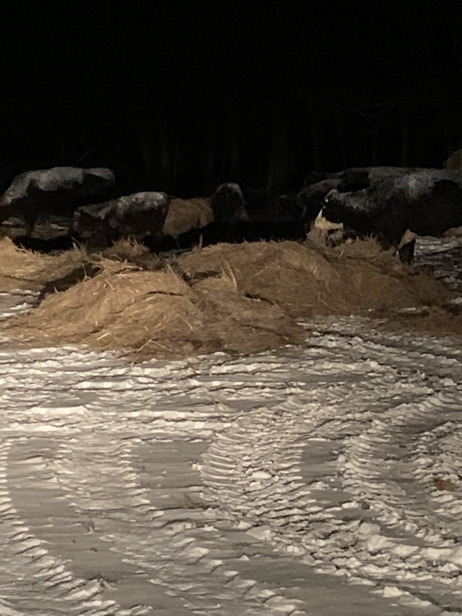 Nita Johnson tweet media