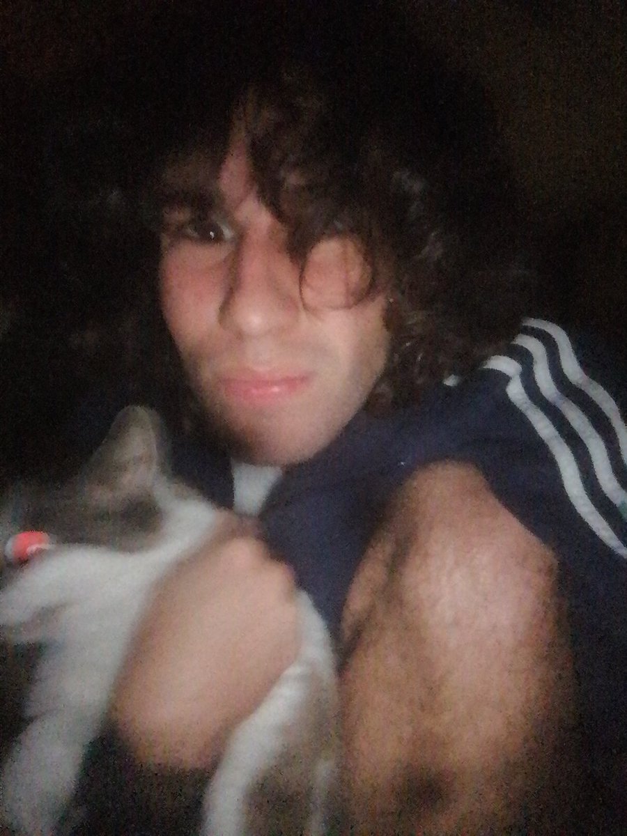 josexogay's tweet photo. momento della #cena del mio gattp felix. 🥰🥰🥰🥰 #disperazione https://t.co/cfRTYtD0I5