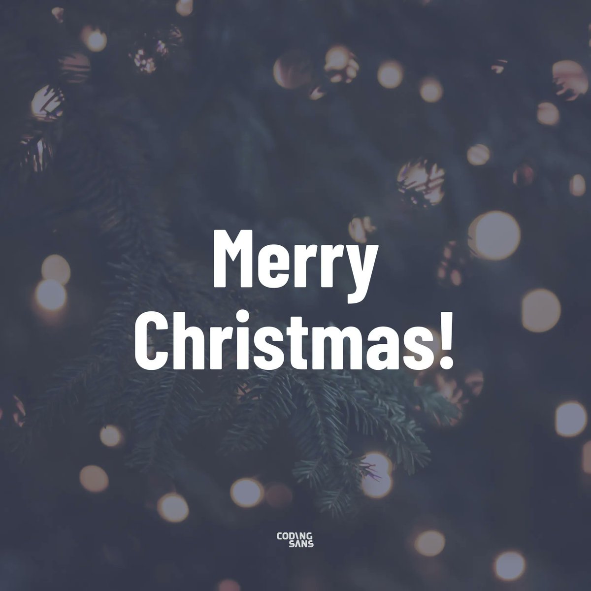 Coding Sans tweet media