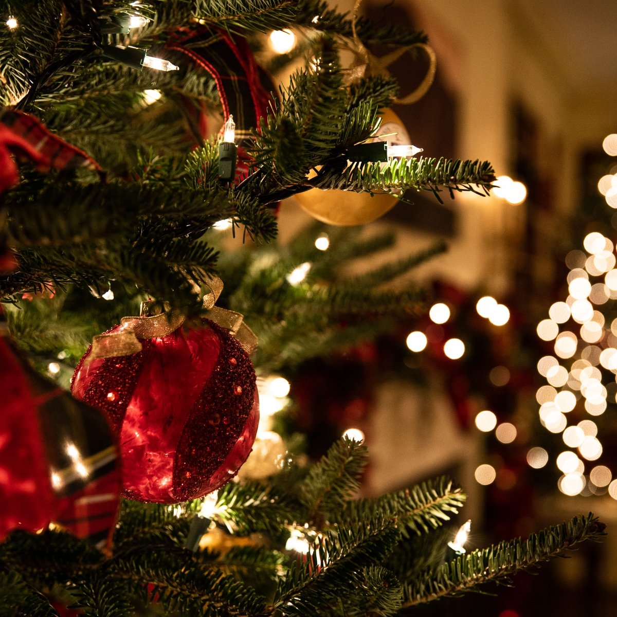 _SolarGleam's tweet image. From our entire team here at Solar Gleam Energy, we wish you and your family a merry and bright holiday season.