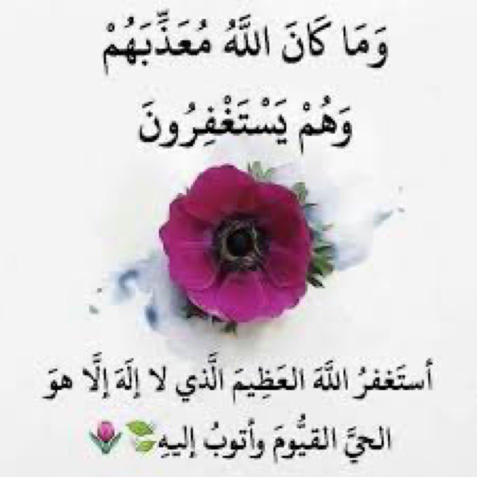 om manal (@ommanal9) on Twitter photo 