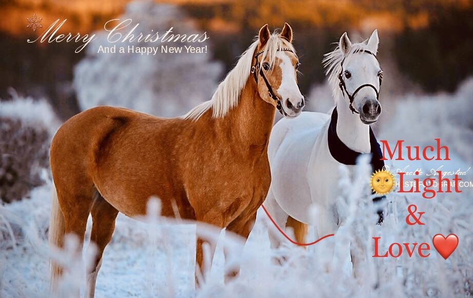 KitJobson's tweet image. 