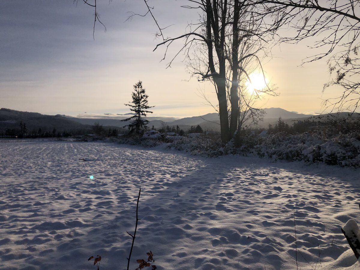 Daniel S. tweet media