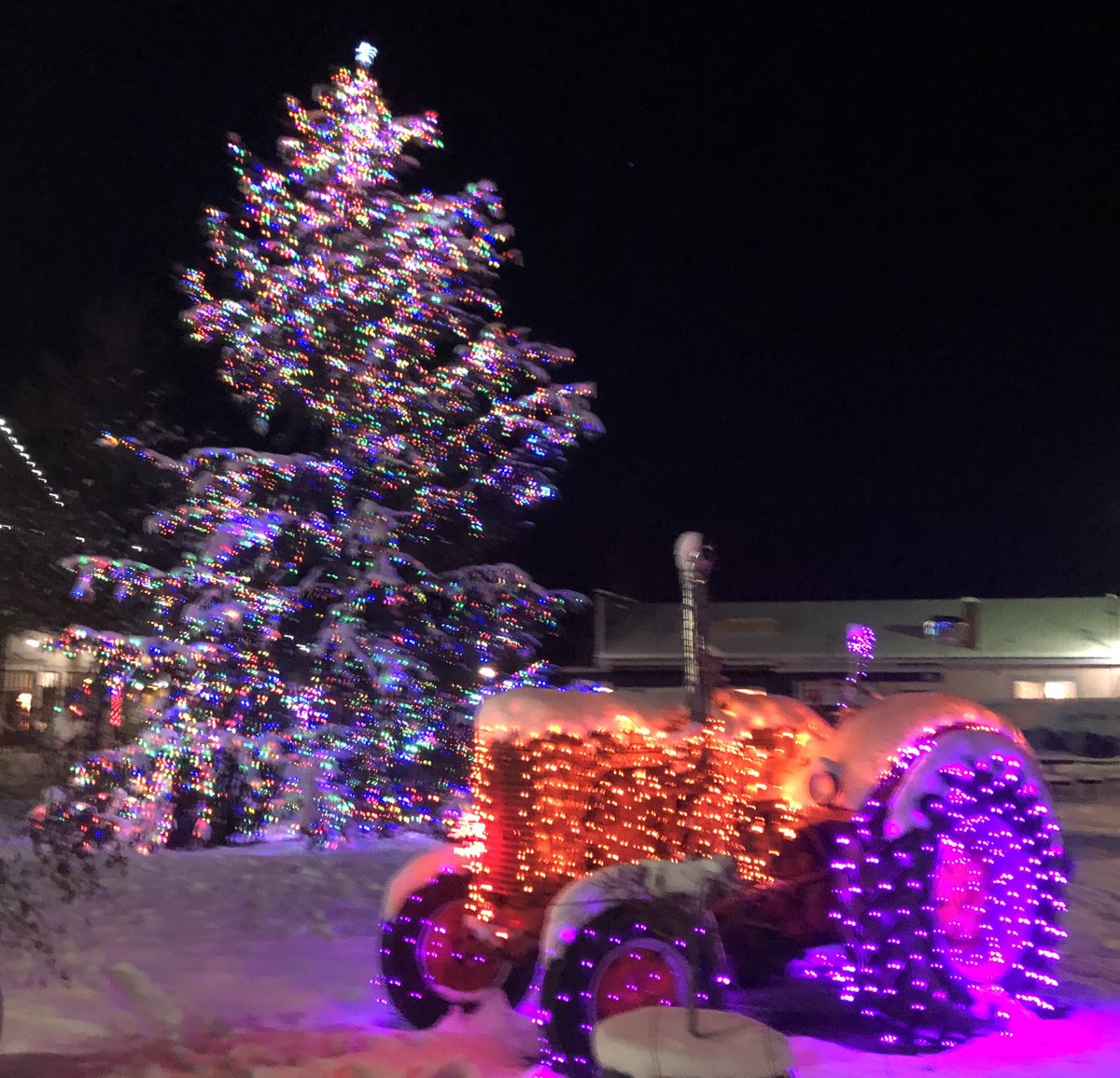 Daniel S. tweet media