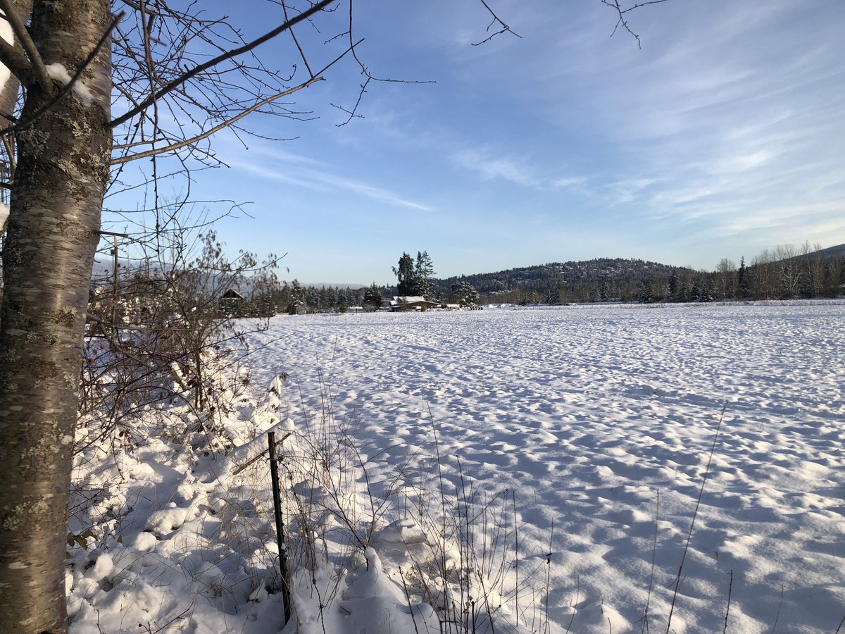 Daniel S. tweet media