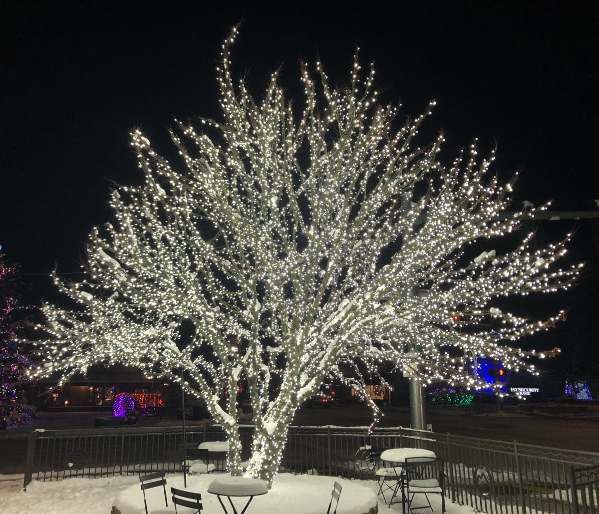 Daniel S. tweet media