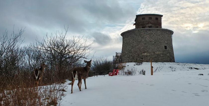 Parks Canada NHS, New Brunswick tweet media