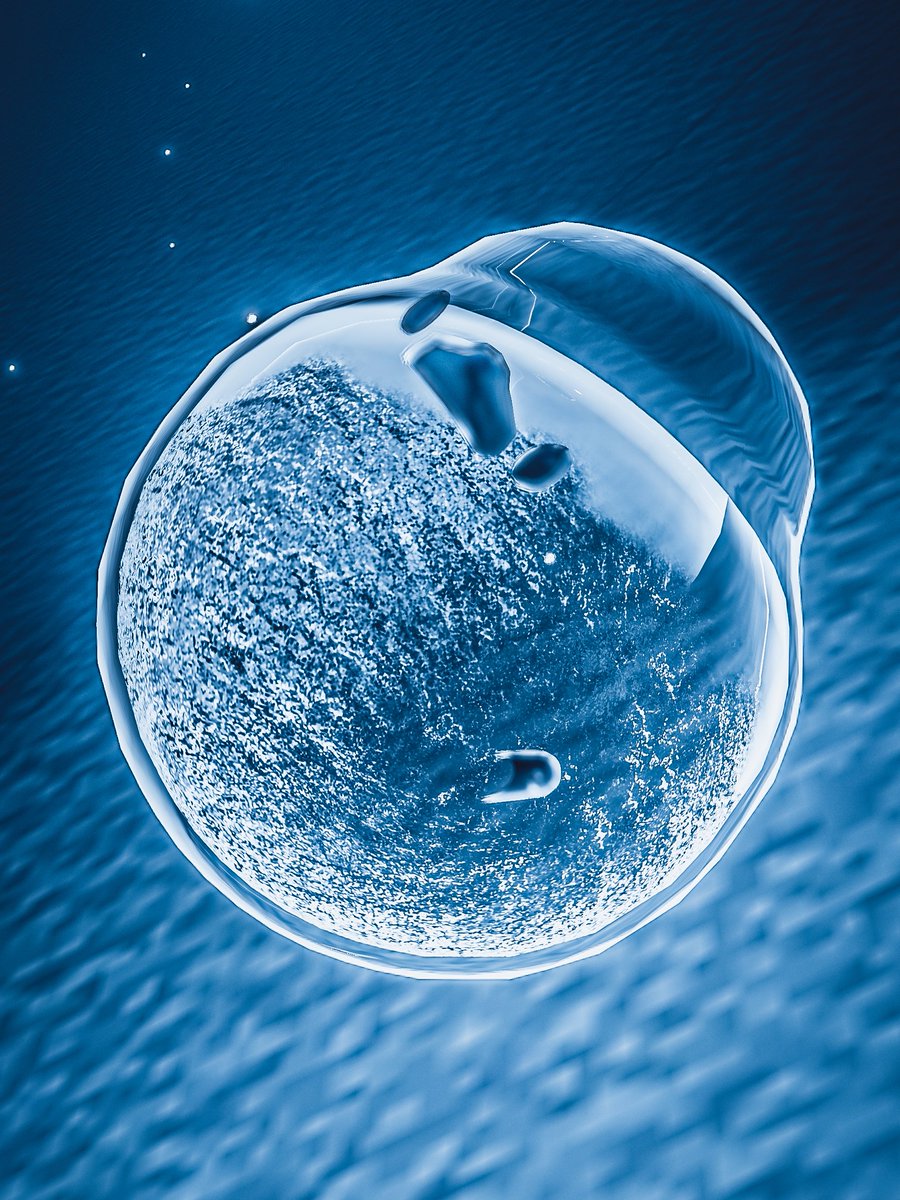 #フェリシモ   #シーモノ #ストームグラス 
#バーチャルフォトセッション