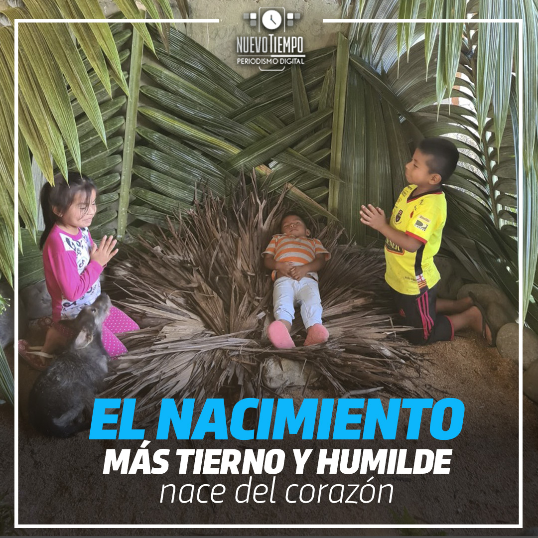 NuevoTiempoCue's tweet photo. #𝐇𝐢𝐬𝐭𝐨𝐫𝐢𝐚𝐬𝐃𝐞𝐍𝐚𝐯𝐢𝐝𝐚𝐝
Un nacimiento humilde armado con palmeras fue recreado por los niños de la comunidad El Retén, parroquia #Cotundo, cantón #Archidona, #Napo; la fotografía fue publicada por el sacerdote José Vicente Yanangómez. https://t.co/bABBvcndz0