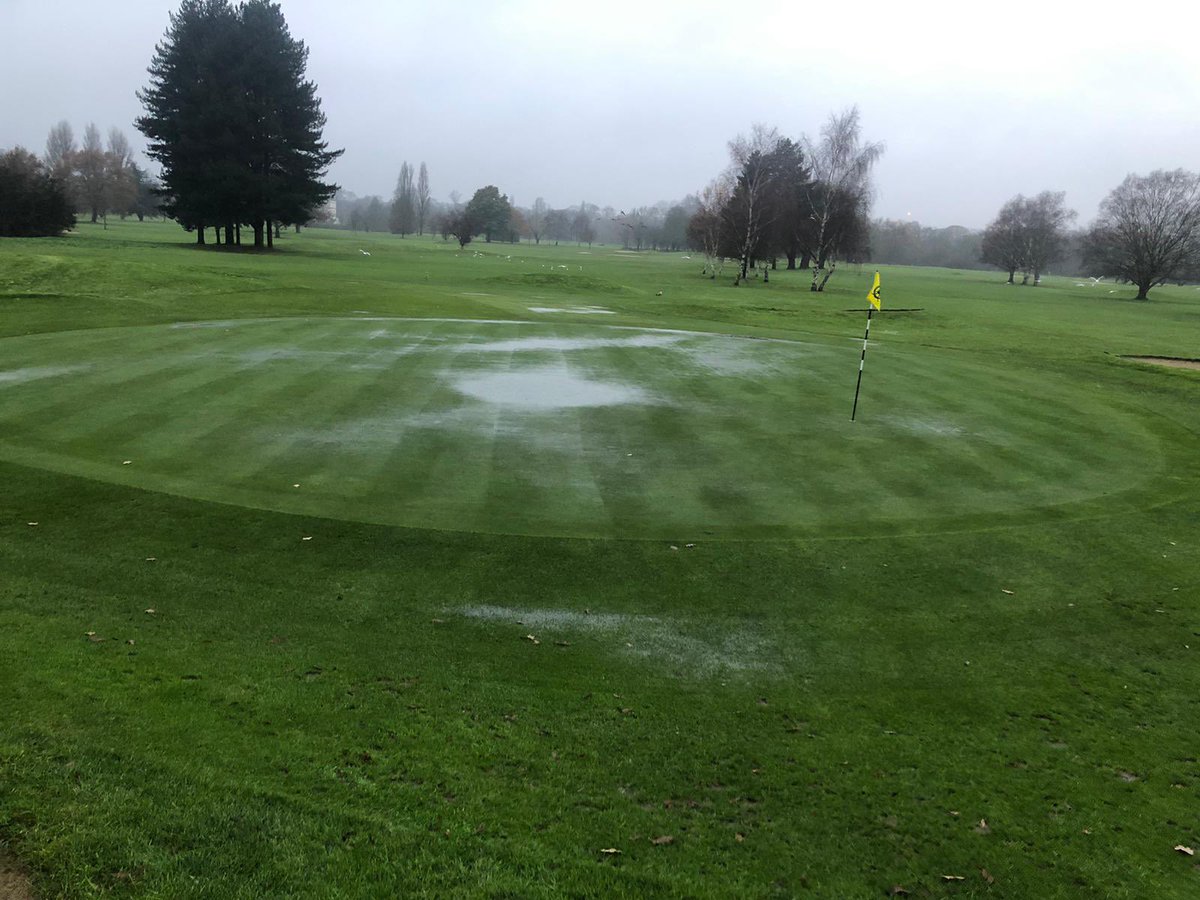 RMS-Greens tweet media