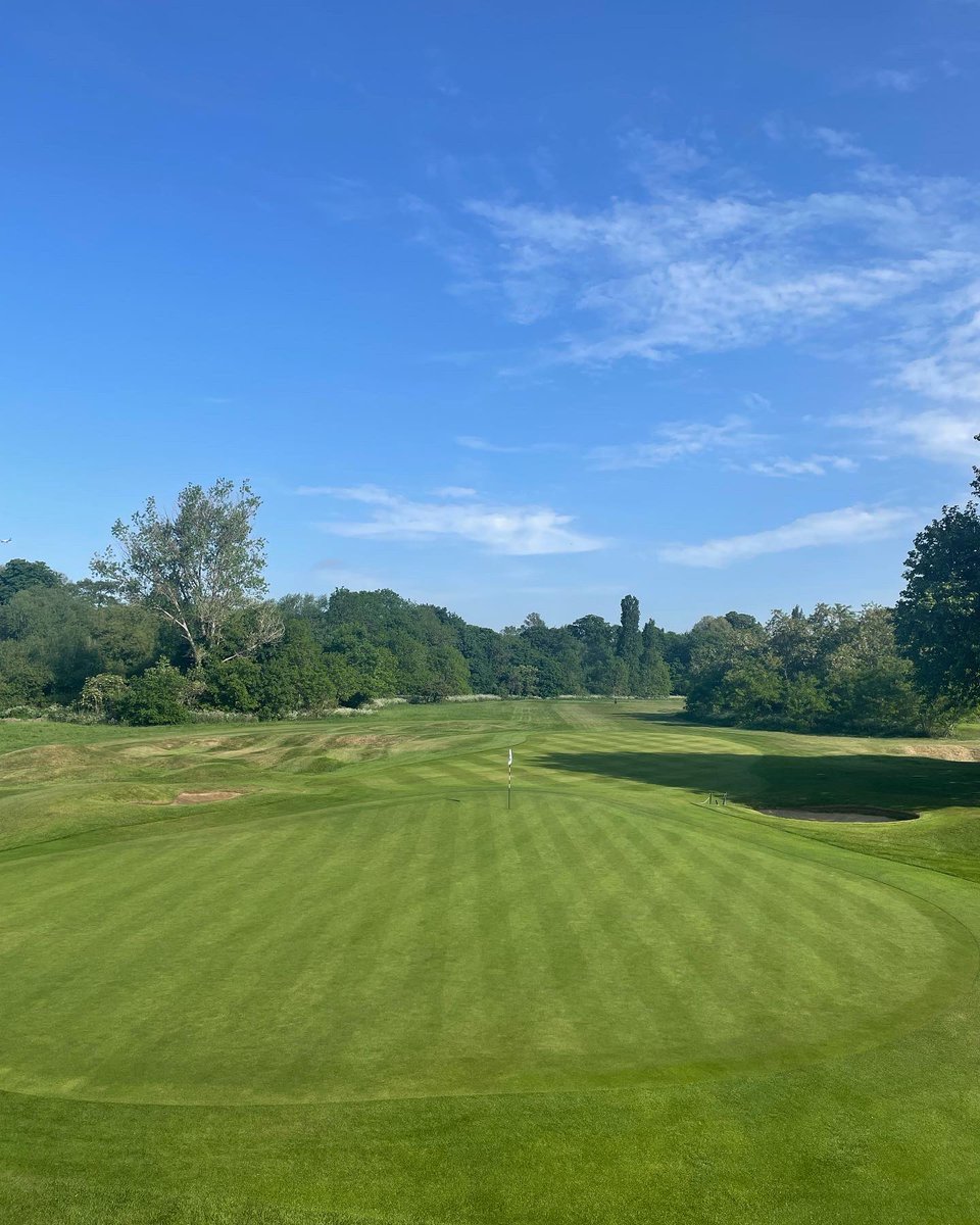 RMS-Greens tweet media