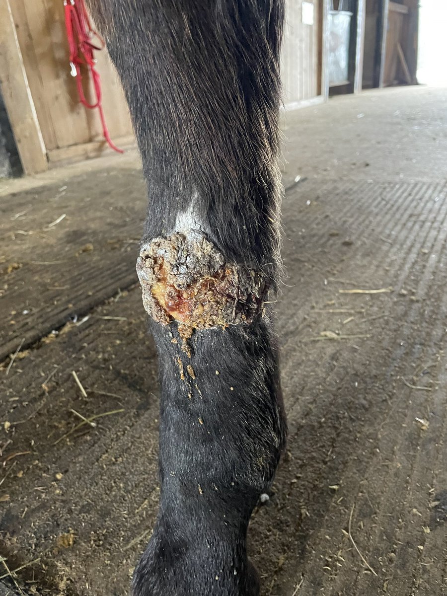 Kimberly Hale tweet media