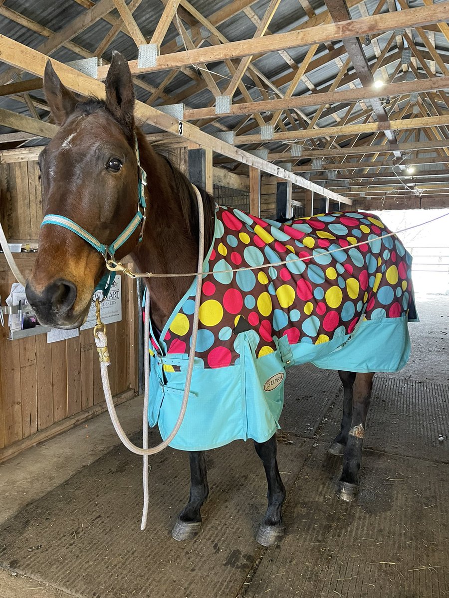 Kimberly Hale tweet media