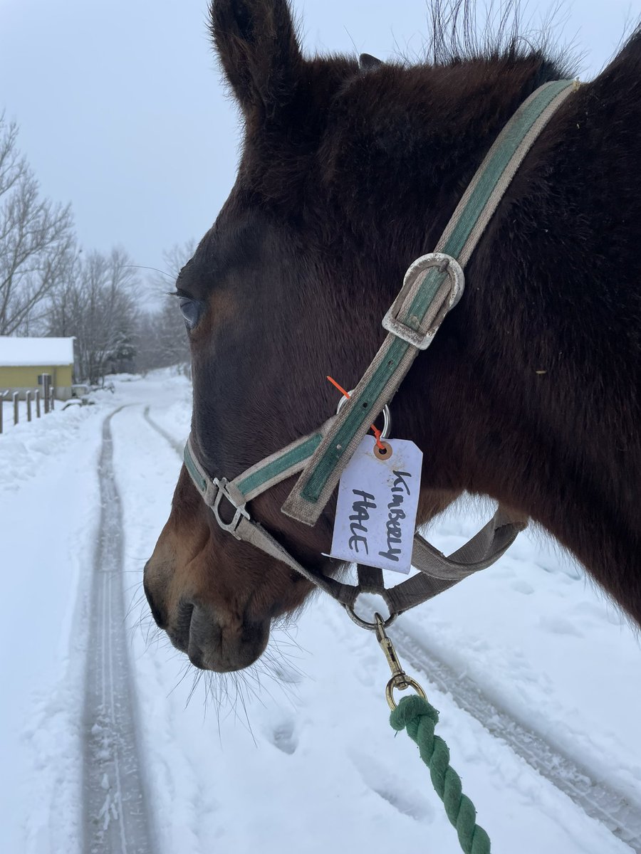 Kimberly Hale tweet media