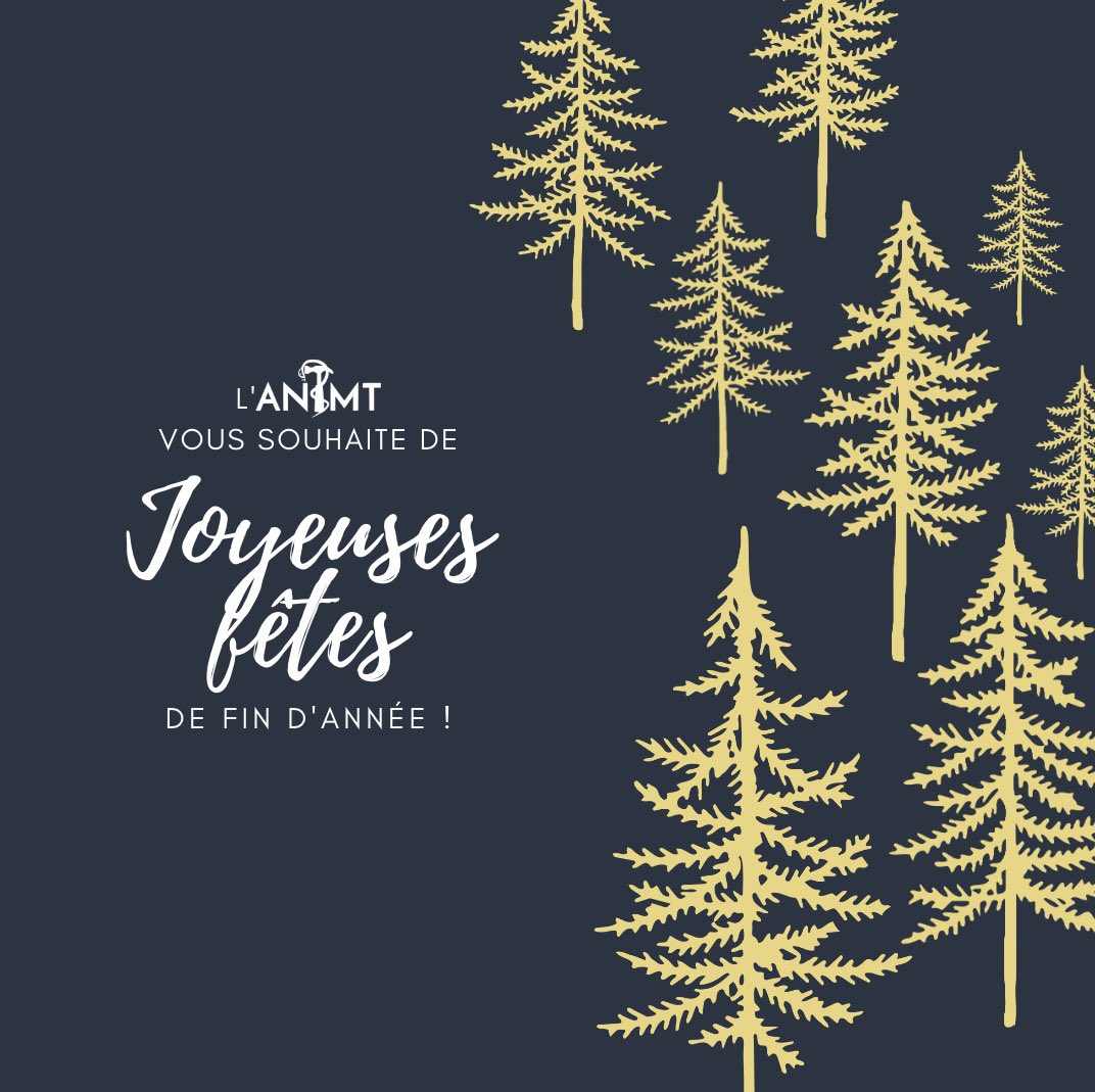 L’ANIMT vous souhaite de joyeuses fêtes de fin d’année ✨