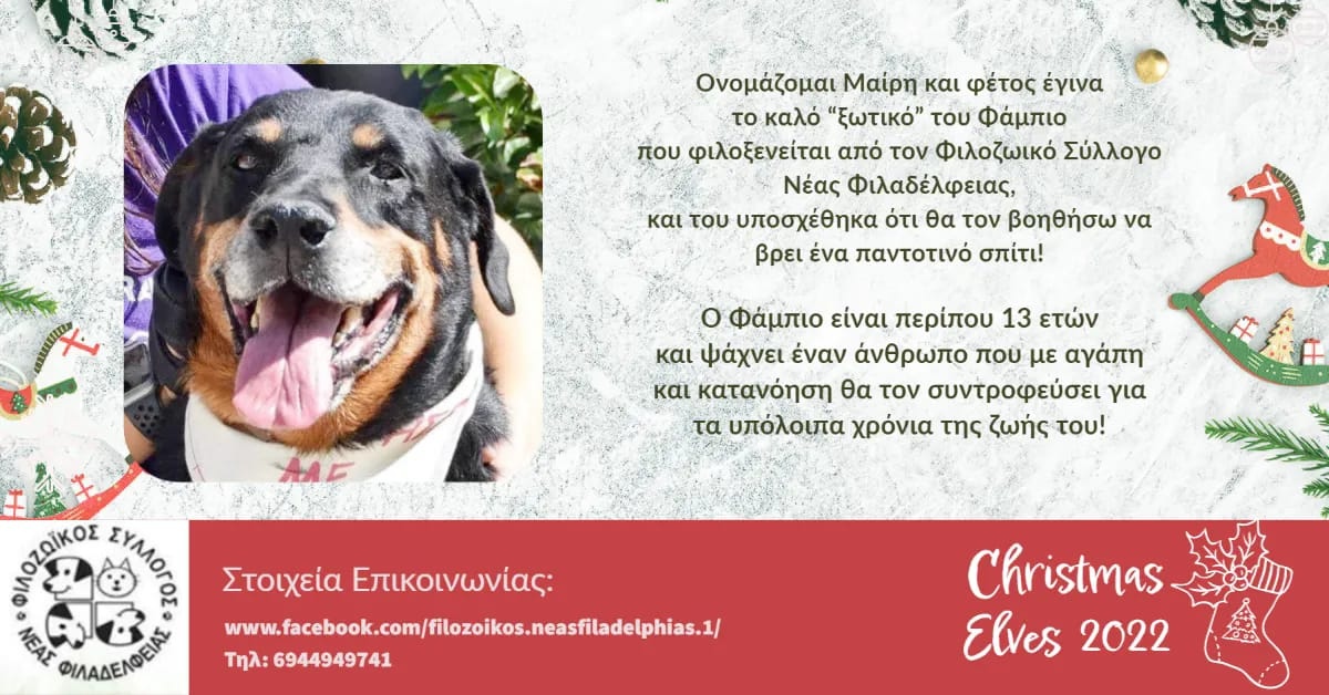 Filozoikos_nf's tweet photo. Τα Χριστούγεννα πλησιάζουν!! Βοηθήστε να πραγματοποιηθούν κάποια αδέσποτα όνειρα, βοηθήστε με την καρδιά σας ώστε κάποια τυχερά να γνωρίσουν επιτέλους τι σημαίνει Χριστούγεννα στο σπίτι τους! https://t.co/UMu8m0B7kW #adoptsdontshop #rescuedogsofig #athensgreece #friendsofanimals https://t.co/dL0vVl03Sn