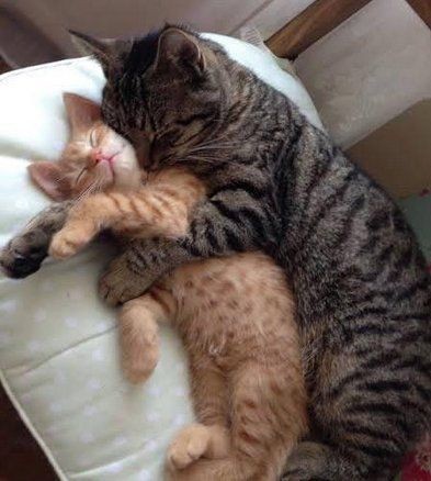 #GoodNightTwitterWorld and #sweetdreams