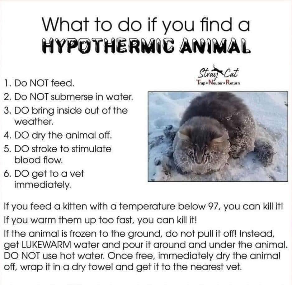 mileytherescue's tweet photo. https://t.co/yI598bJy9c