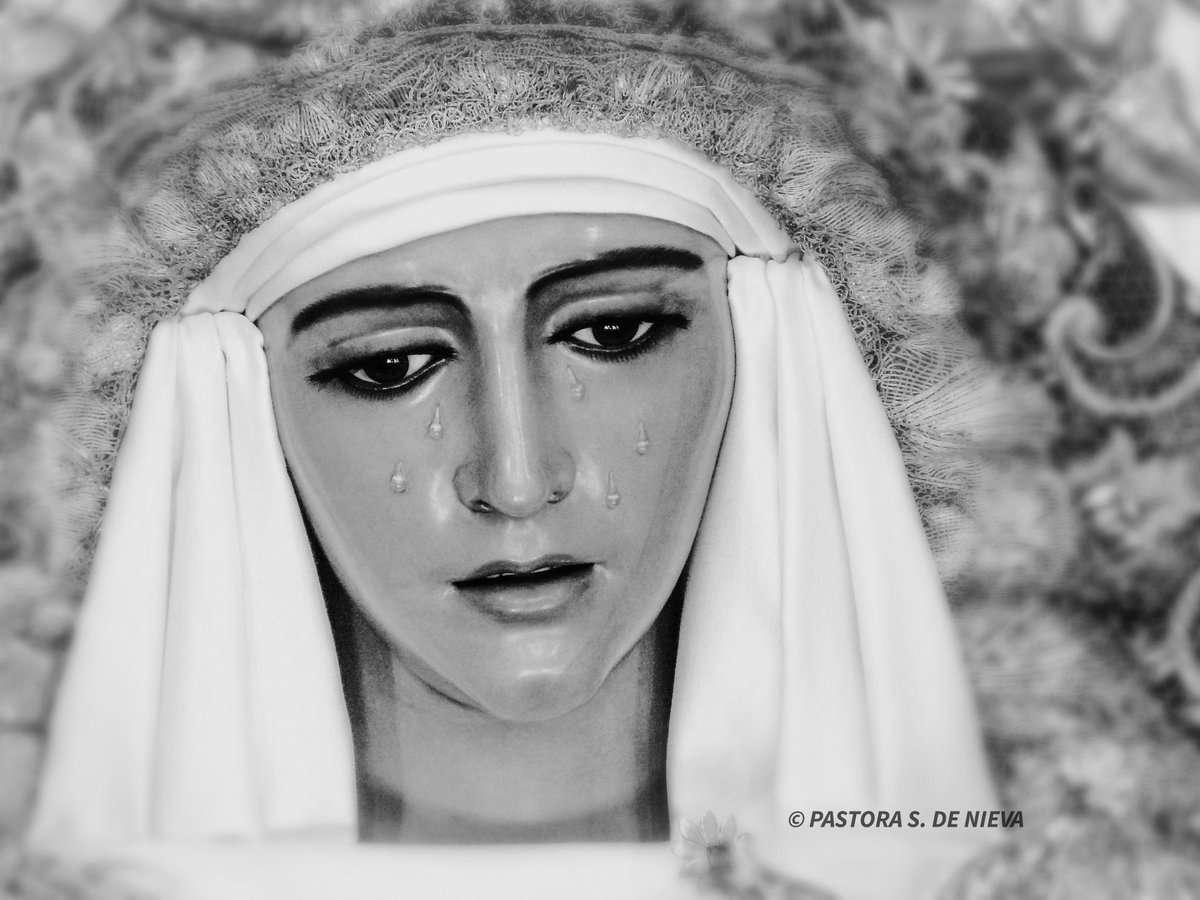 NievaPastora's tweet photo. Y la Navidad se viste de Esperanza
Esperanza Trianera...
@PacoFraile 
@JARodriguez_TV 
@GrandeDeLeon 
@j_a_zamora_foto 
@Usse22885773 
@pacoperezestepa 
@hdadesperanzatriana
@SevillaInsolita https://t.co/QrDJU68TyQ