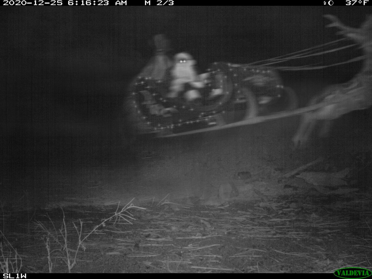 I've been tracking this thing for years now…
First saw it two years ago. I set up a trail cam outside to keep track of some loose boars. Since then, my life has been a nightmare. Whatever this "thing" is keeps trying to get into my house, every damn year. Can anyone help me?