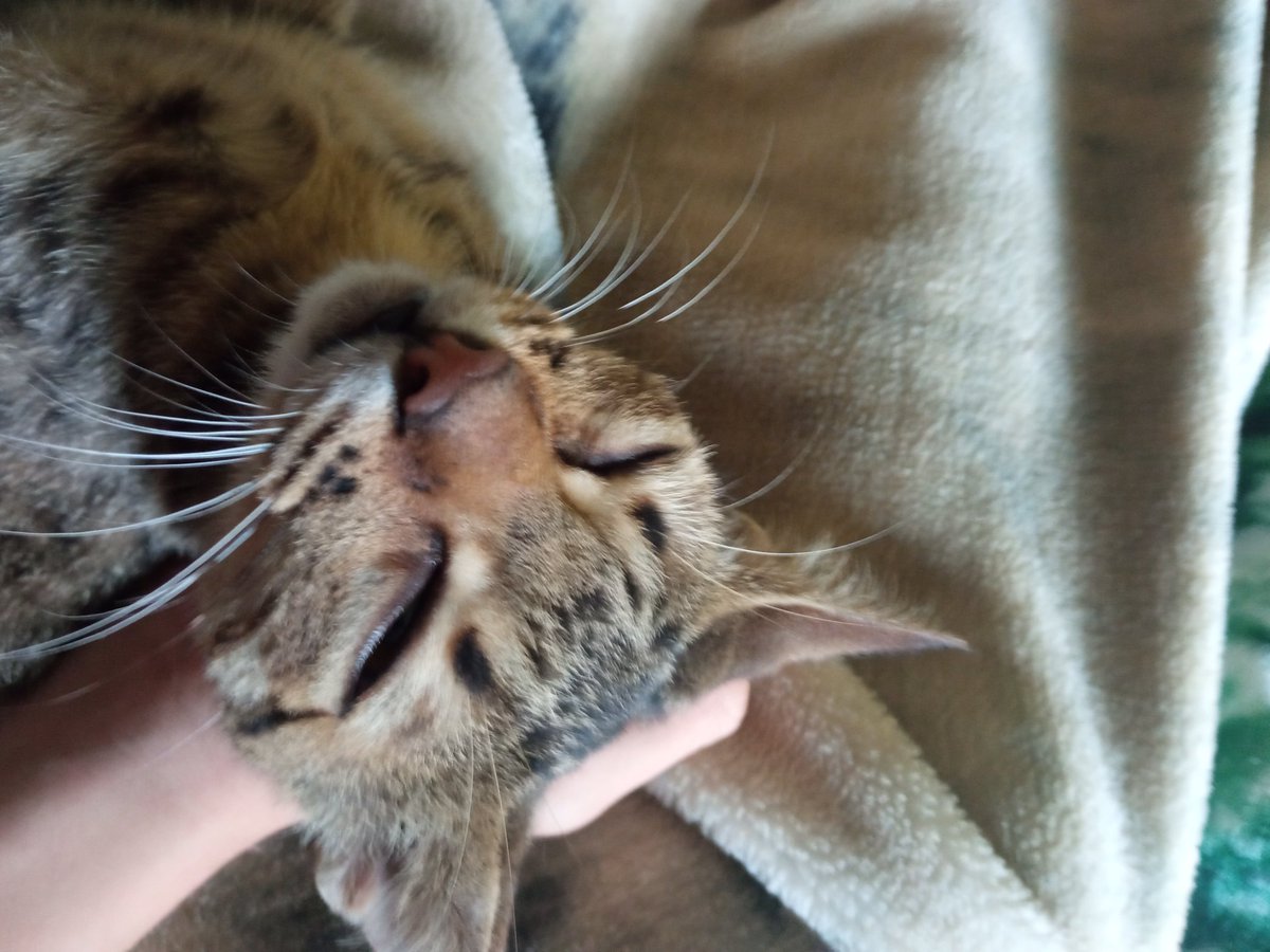 Amielconpan (@amielconpan) on Twitter photo 