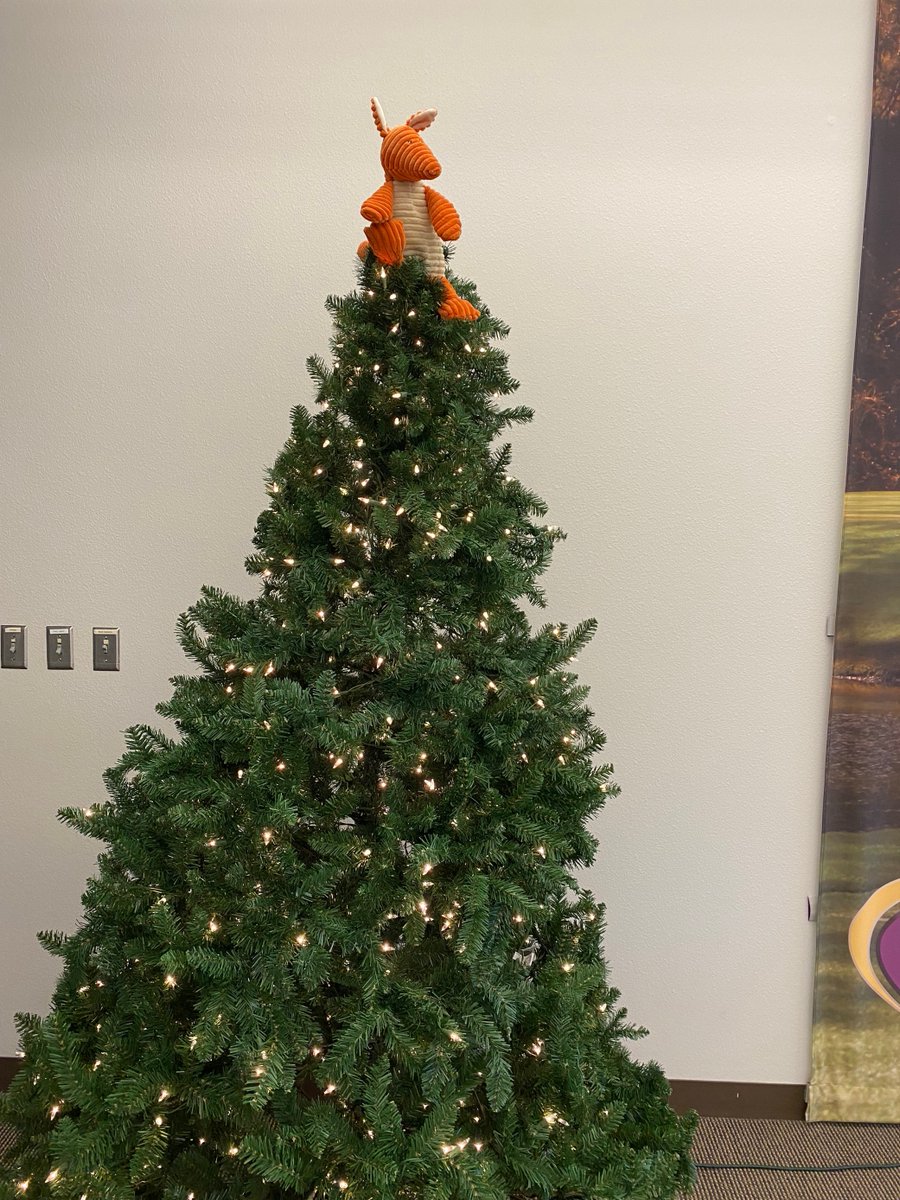 Active Release tweet media