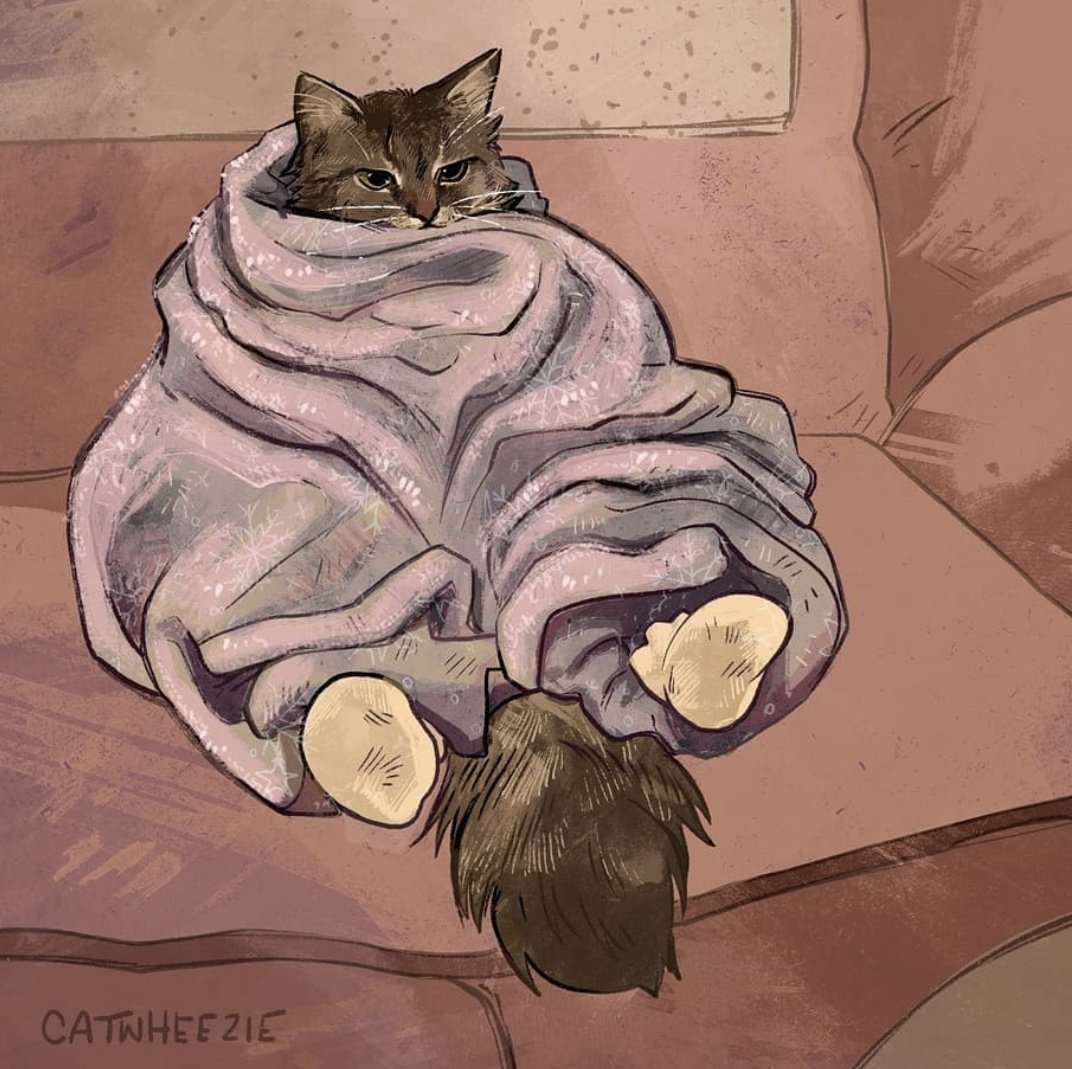RT @catwheezie: Me during these current weather events. All snuggled up but then I realized I forgot my snacks https://t.co/bCNrnKAb5w