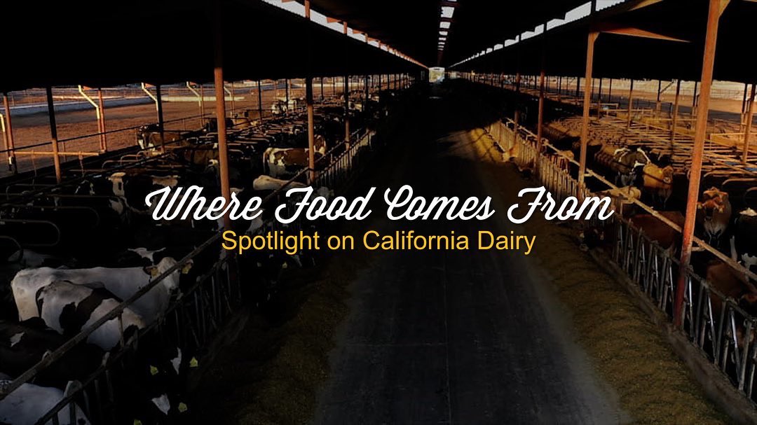 Jordan Mazur, MS, RD tweet media