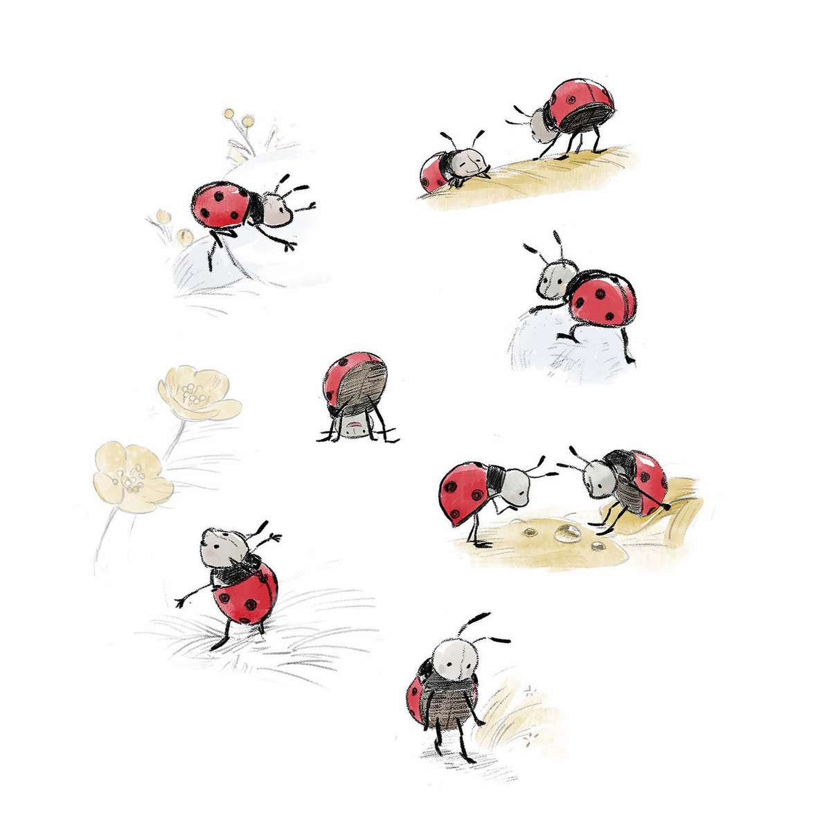 loweiamanda's tweet photo. Some ladybugs for this week's #colour_collective https://t.co/XYr7ZkR787