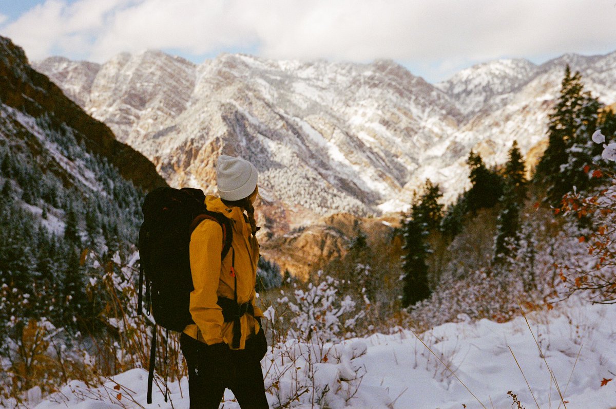 Portra Papi tweet media