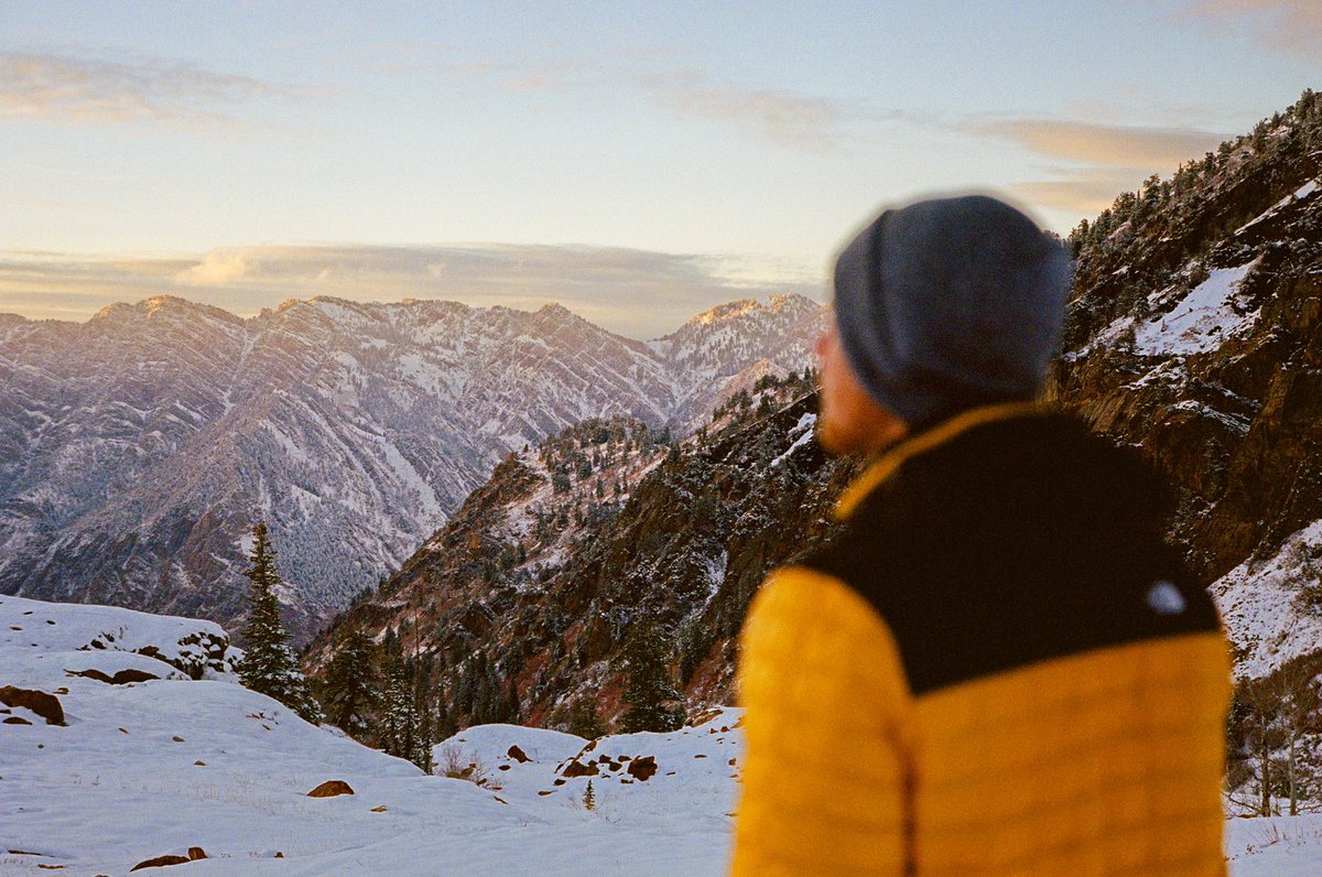 Portra Papi tweet media