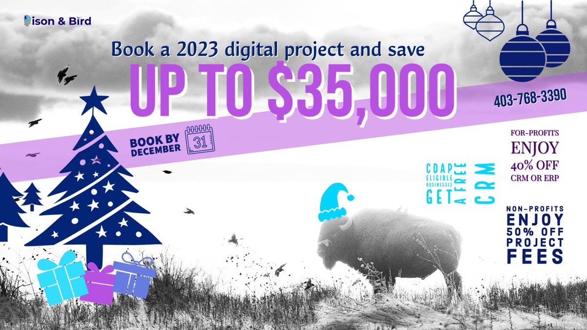 bison_and_bird's tweet photo. CDAP clients get a free CRM, Non-profits save 50%, and all other businesses save 40%, for 2023 digital projects booked by Dec 31, 2022. Call or email now!! P: 403-768-3390 E: howdy@teambisonandbird.com https://t.co/Q9O3KuUh8Y