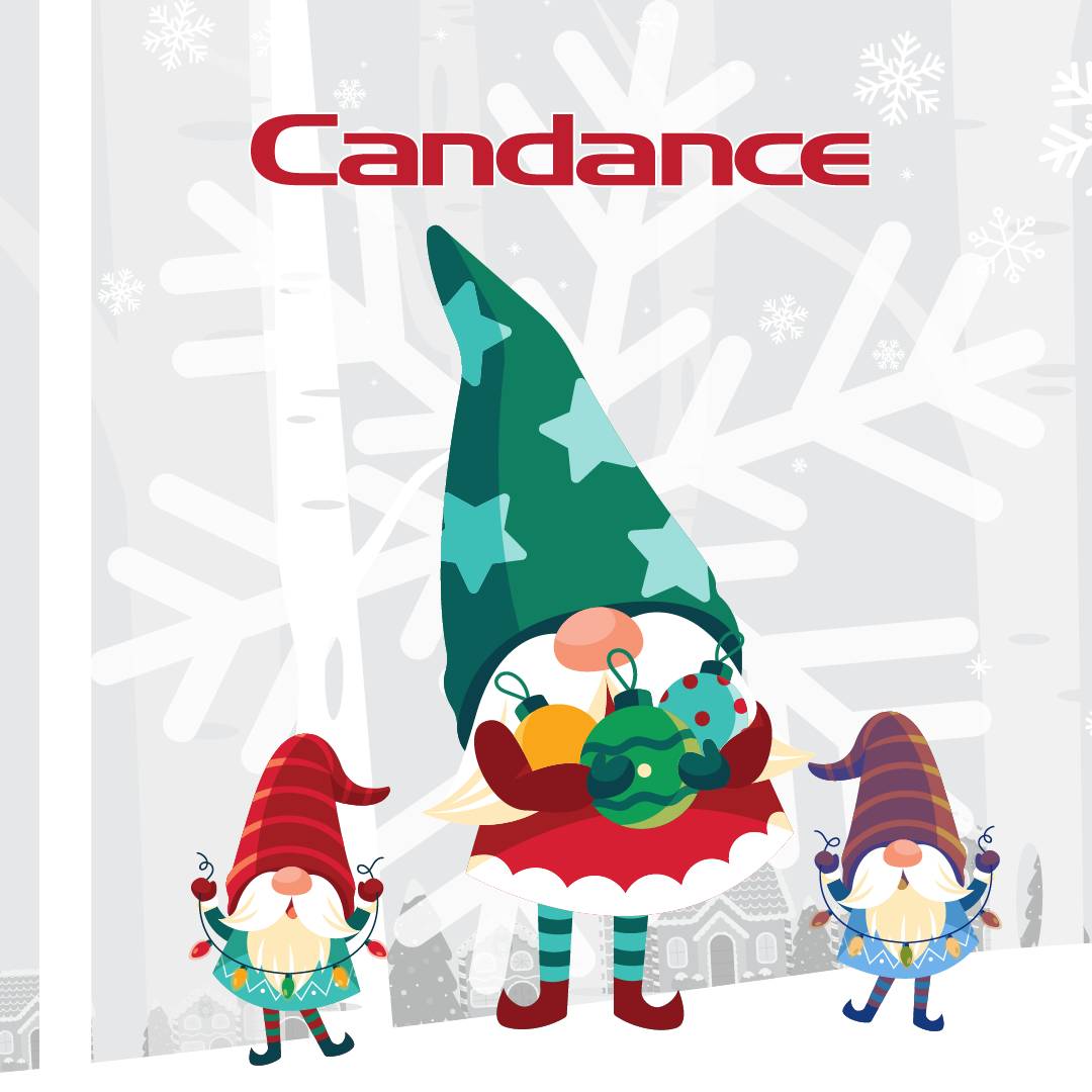 Candance Competition tweet media