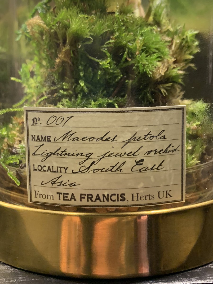 🕷scienTEAfic🕷 tweet media