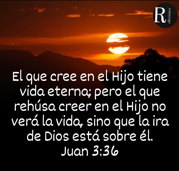 Reflexiones (@reflexiones5962) on Twitter photo 