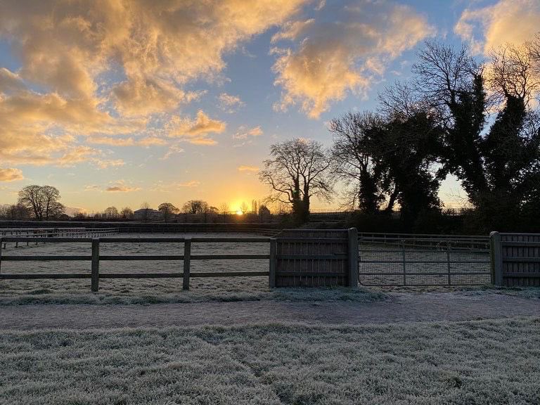 Please note the Irish National Stud & Gardens is now closed for the Winter and is due to re-open on January 30th 2023 🐎 Thank you to everyone who visited during the year & we look forward to welcoming you in 2023 ⭐️ #irishnationalstudandgardens #countdowntochristmas