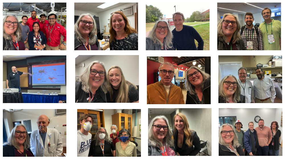 KiwiYoung's tweet photo. As the new Head of @NCSU_DEPP I had a mission to meet and #Selfie ('Us-ies') with all the faculty. Missing 5 but we did meet. We are on 19 locations, 15 in Raleigh - seen it all! We #ThinkAndDoTheExtraordinary We are @NCStateCALS @NCState #HappyHolidays https://t.co/i2pUecheOq