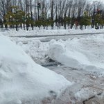 ツイートに含まれる画像