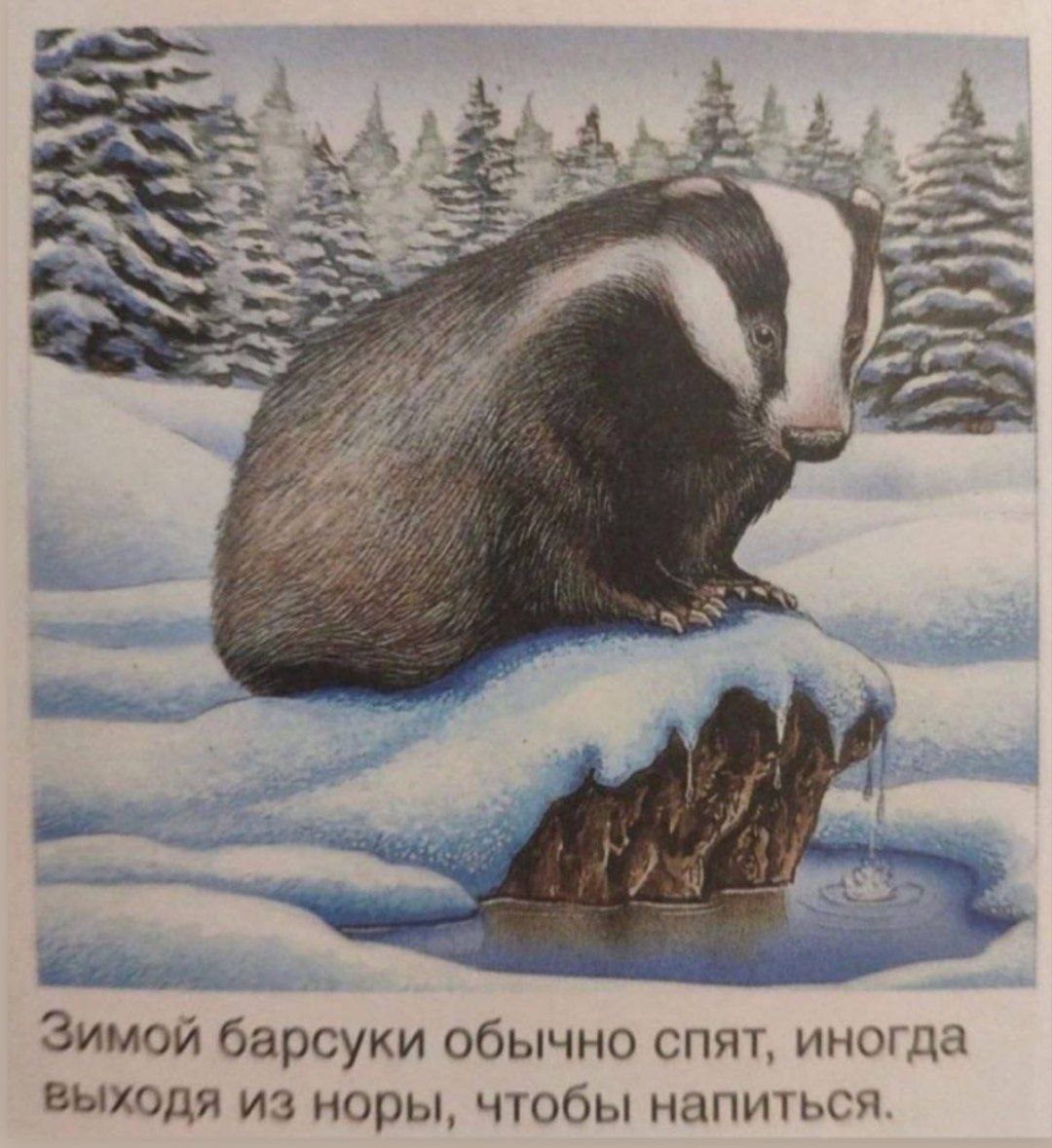 evi1_grebe's tweet photo. Штош... https://t.co/qOe8z26mXm