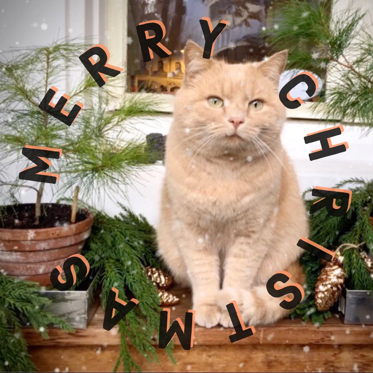 Merry Christmas to all of you…